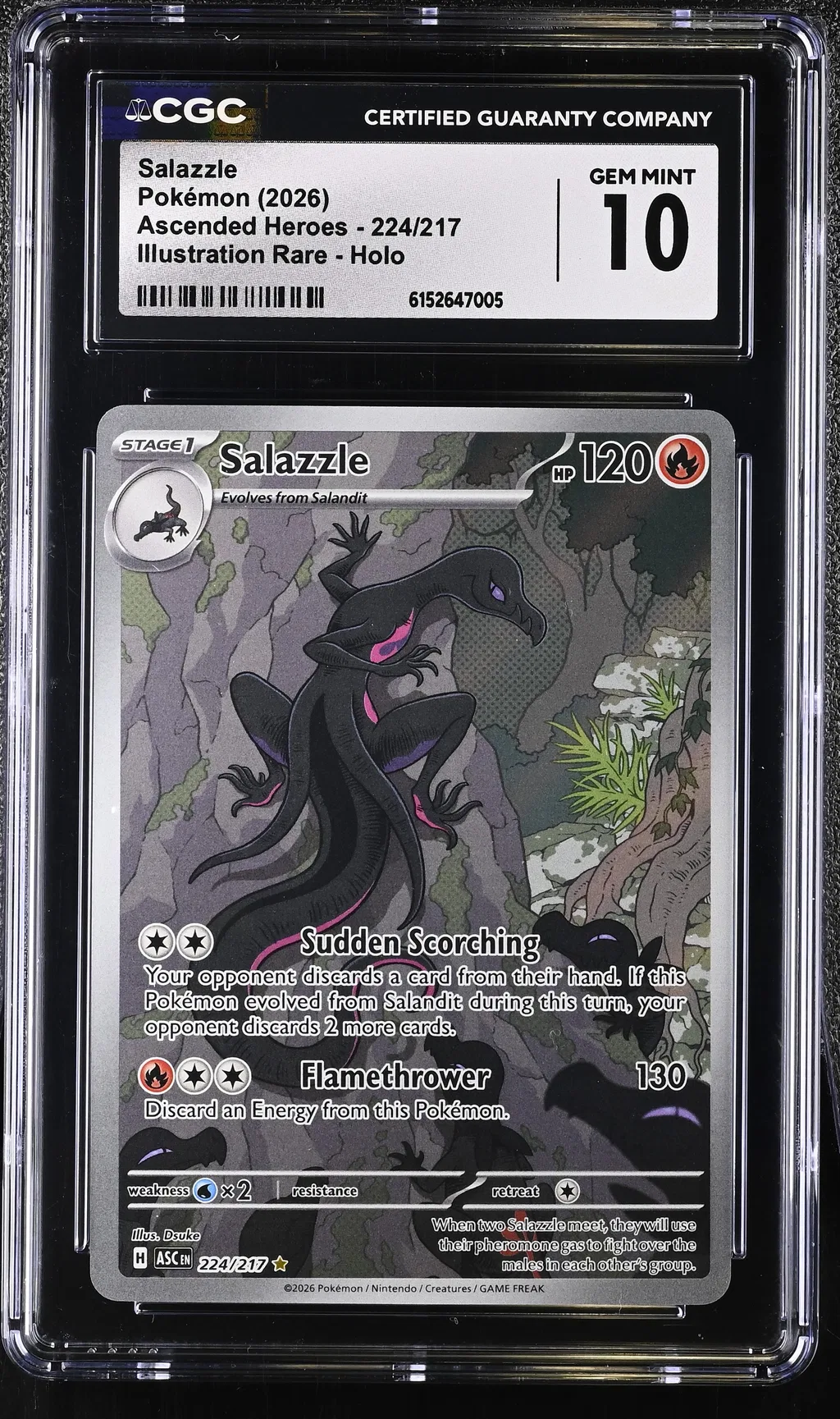 Salazzle card artwork