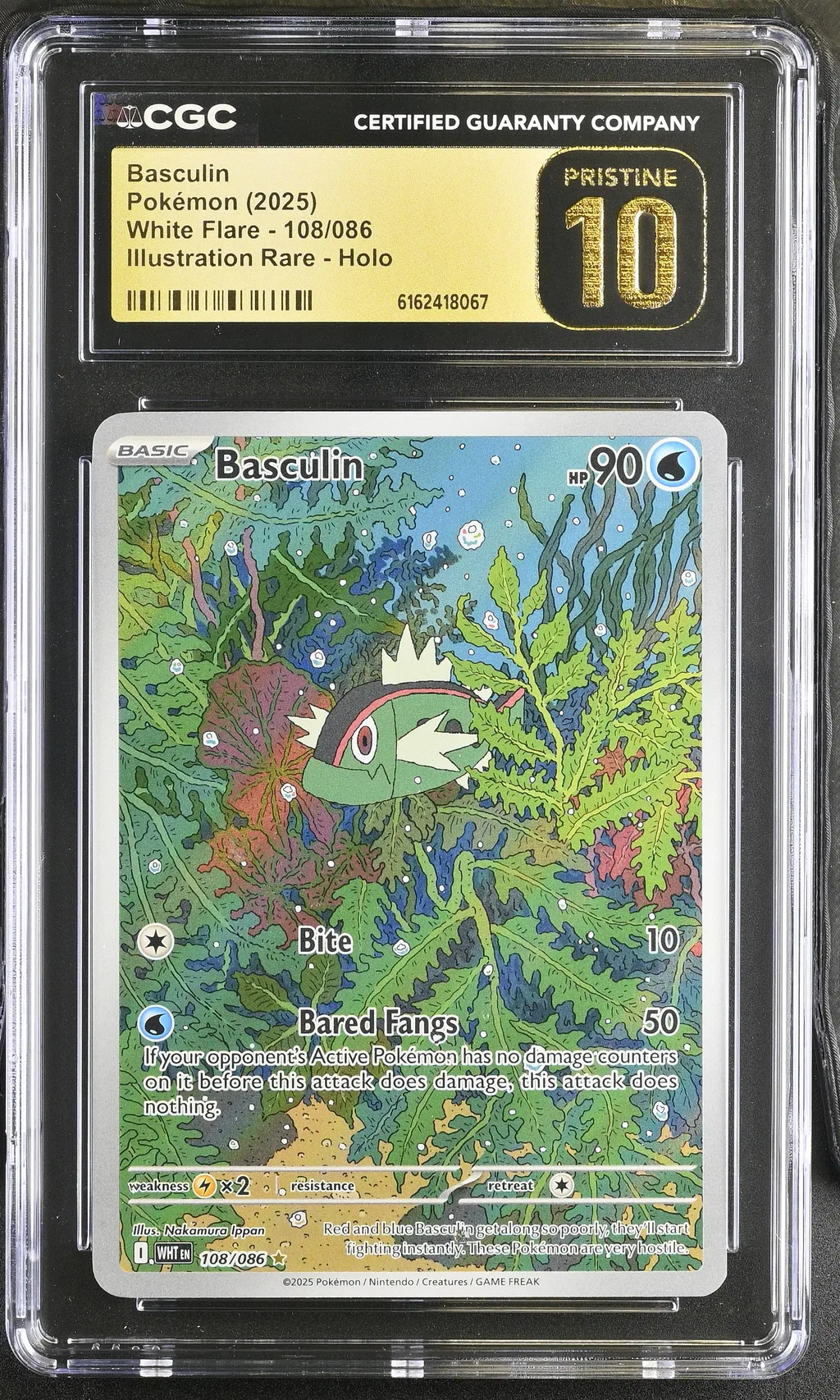 Basculin card artwork