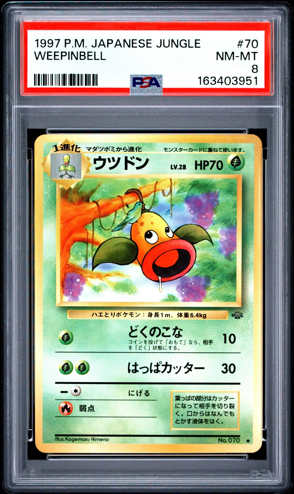 Weepinbell card artwork