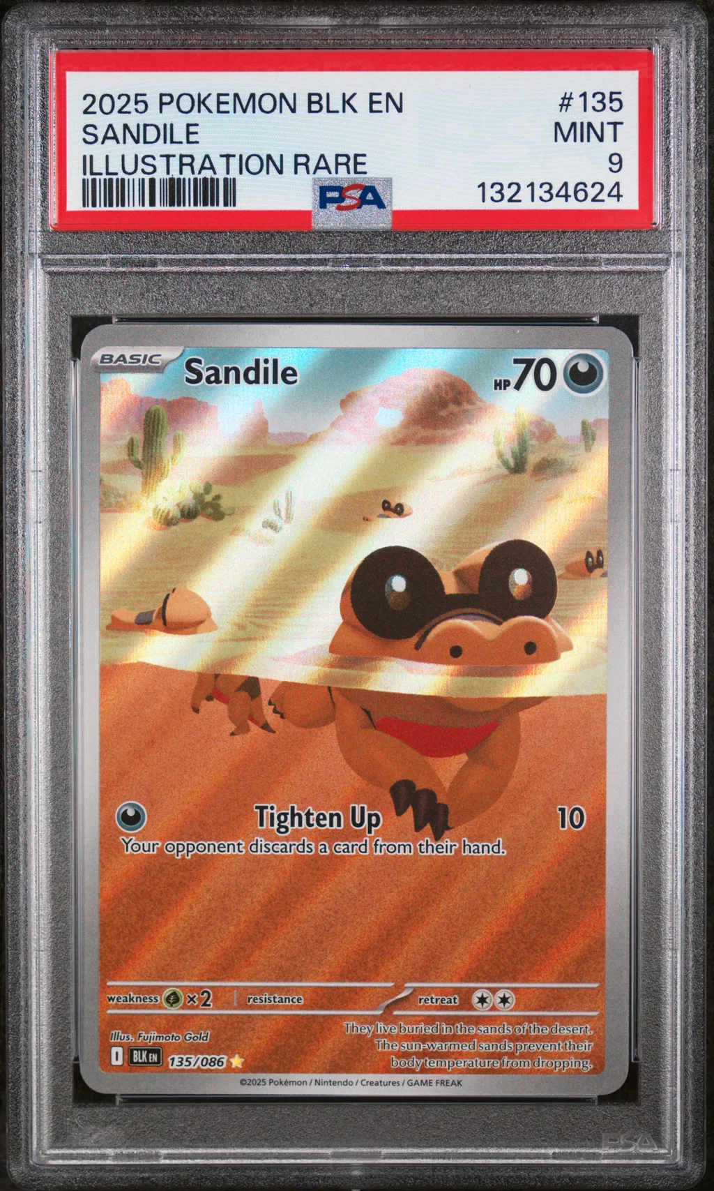 Sandile card artwork