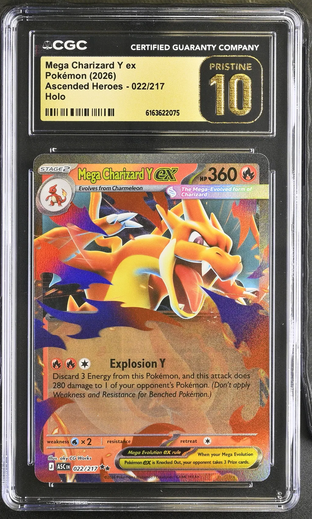 Mega Charizard Y ex card artwork