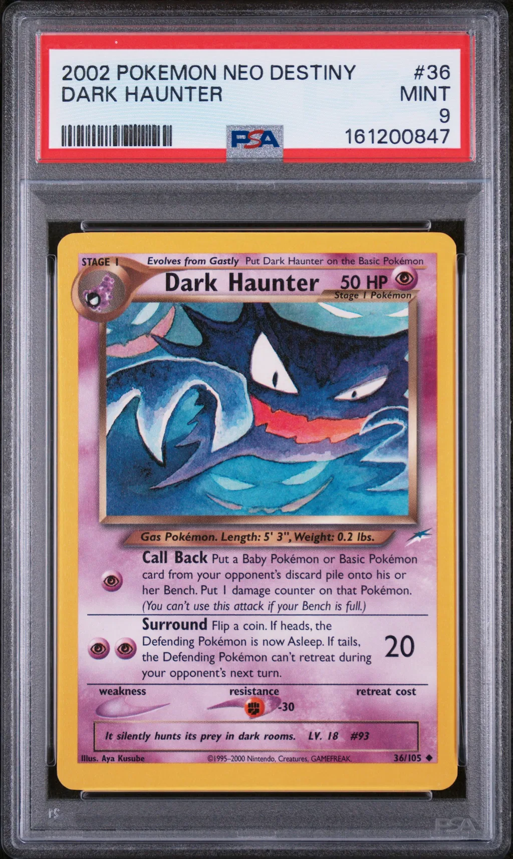 Dark Haunter card artwork