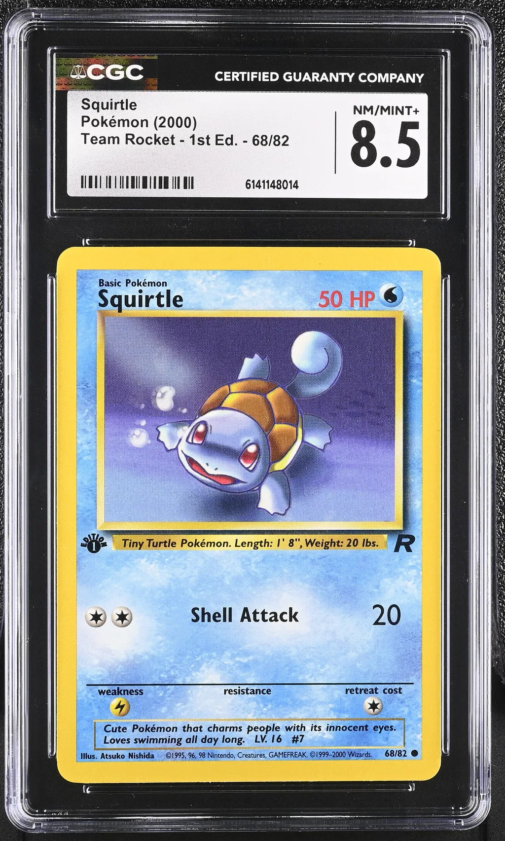 Squirtle card artwork
