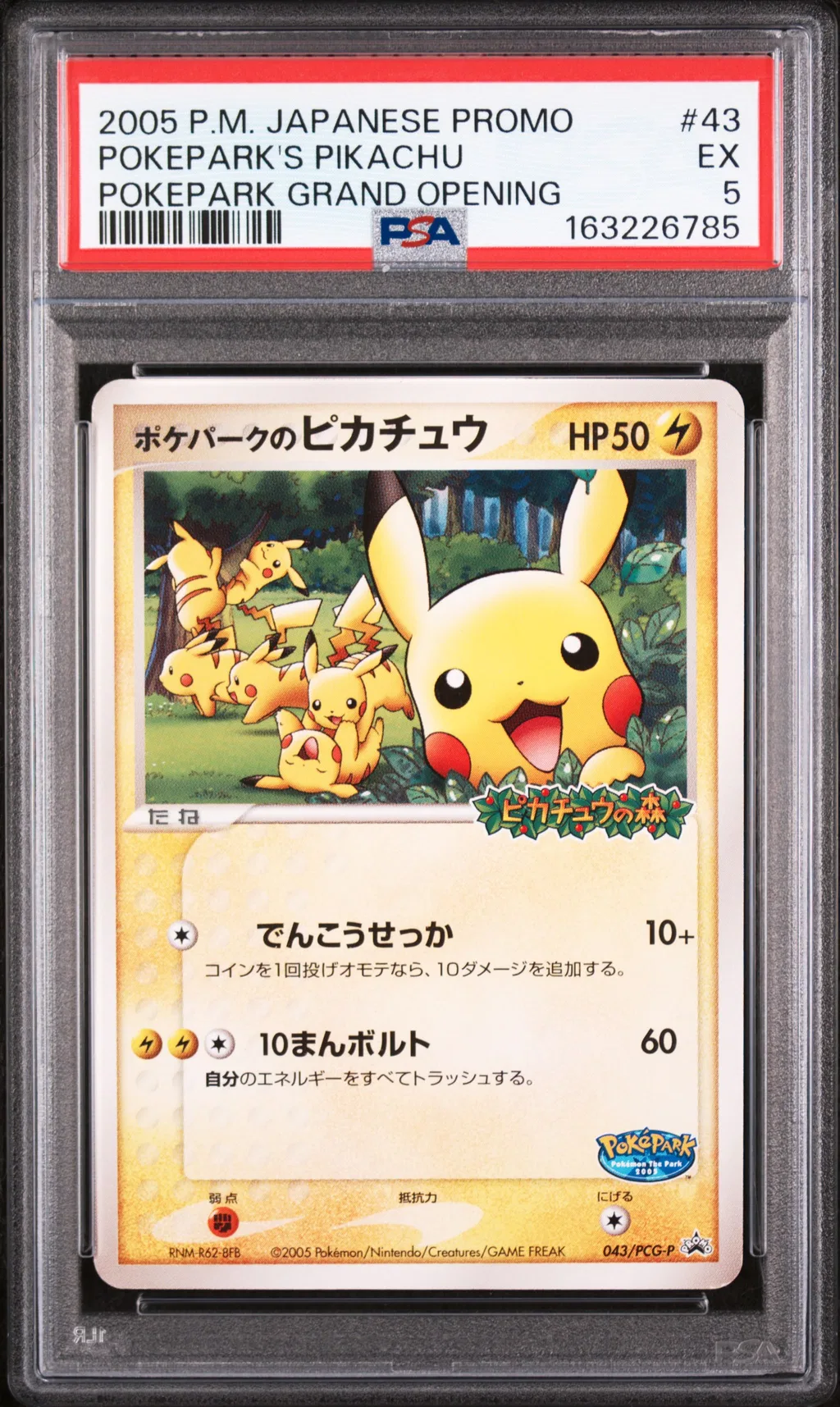 Pokepark's Pikachu card artwork