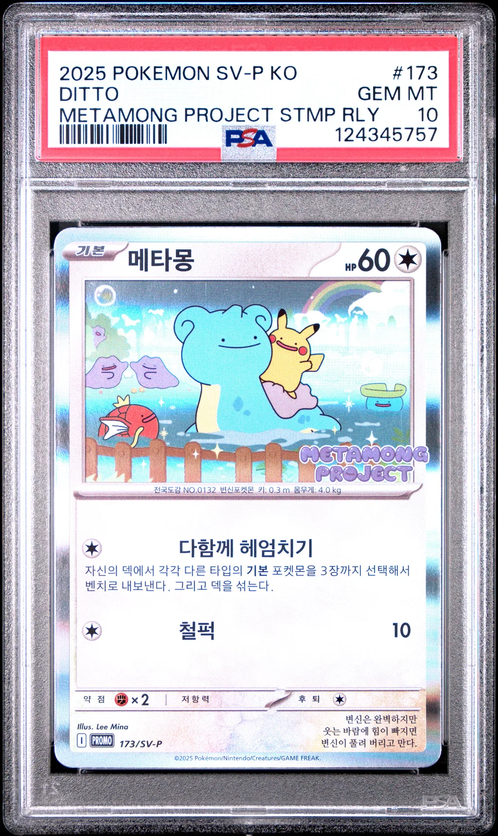Ditto card artwork