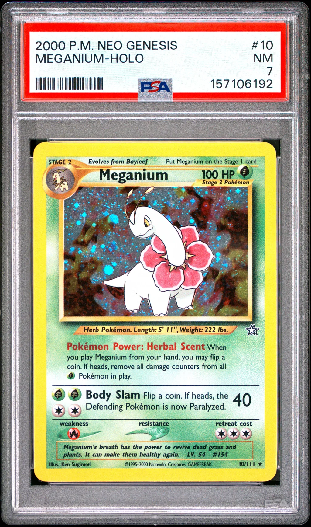 Meganium-Holo card artwork