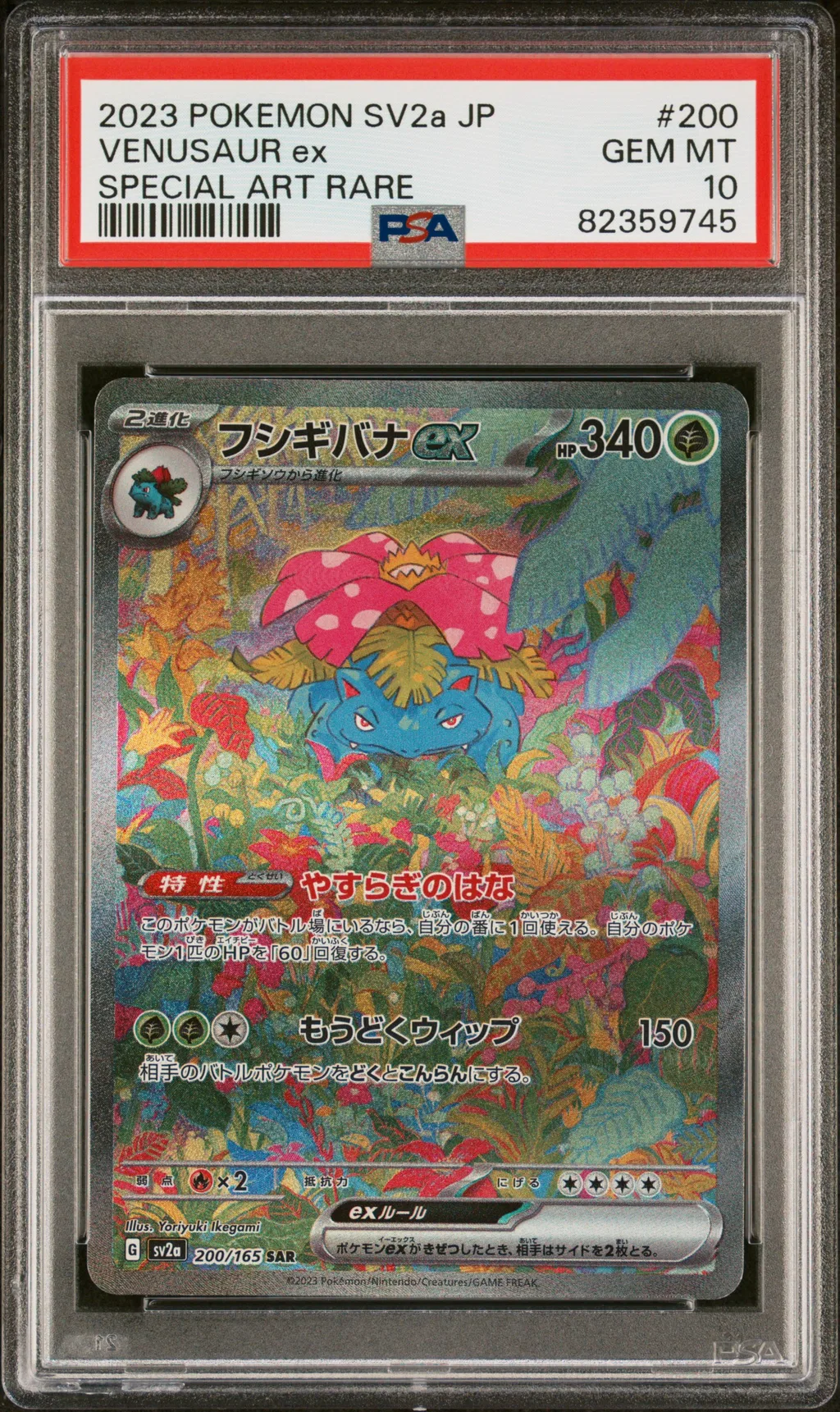 Venusaur EX card artwork