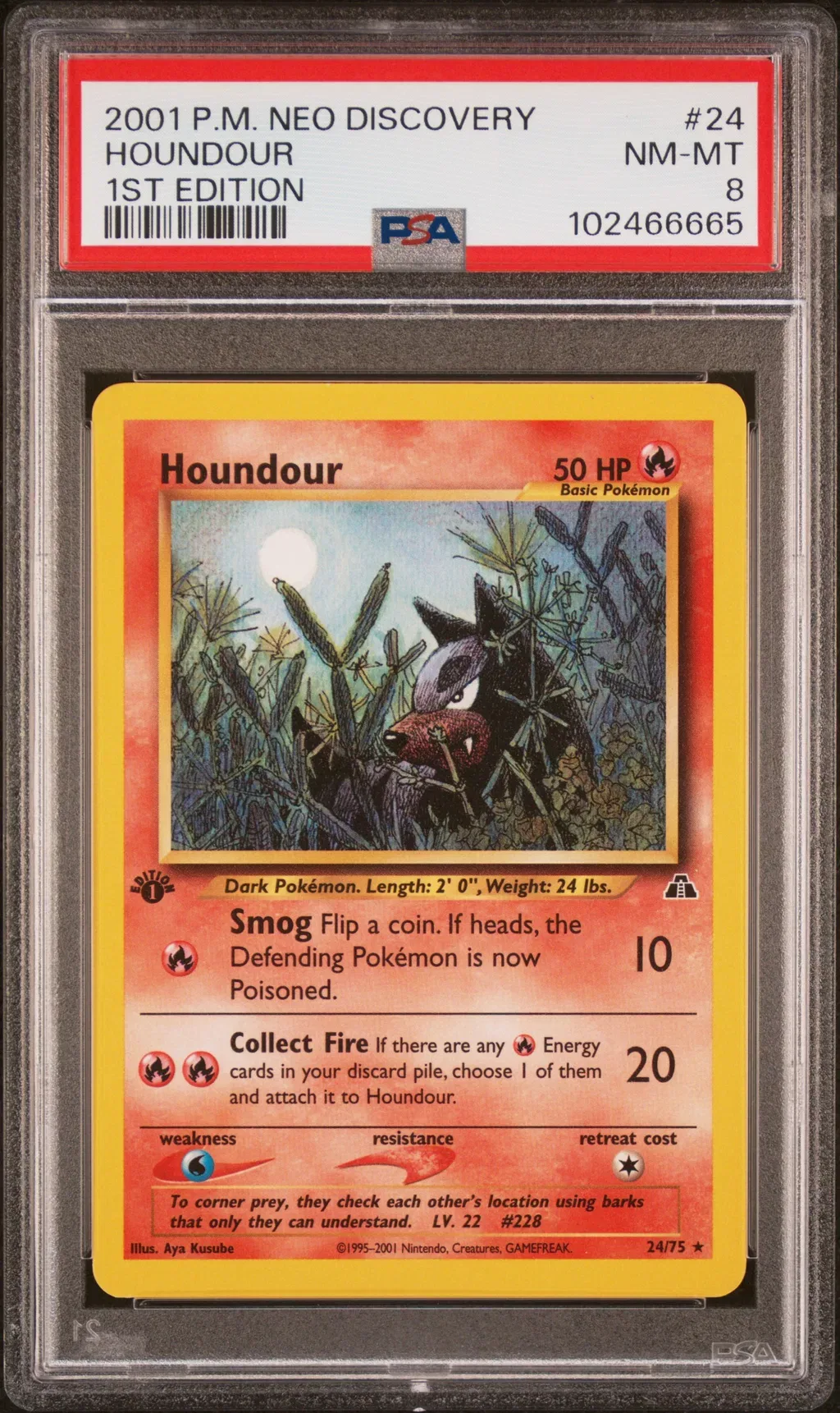 Houndour card artwork
