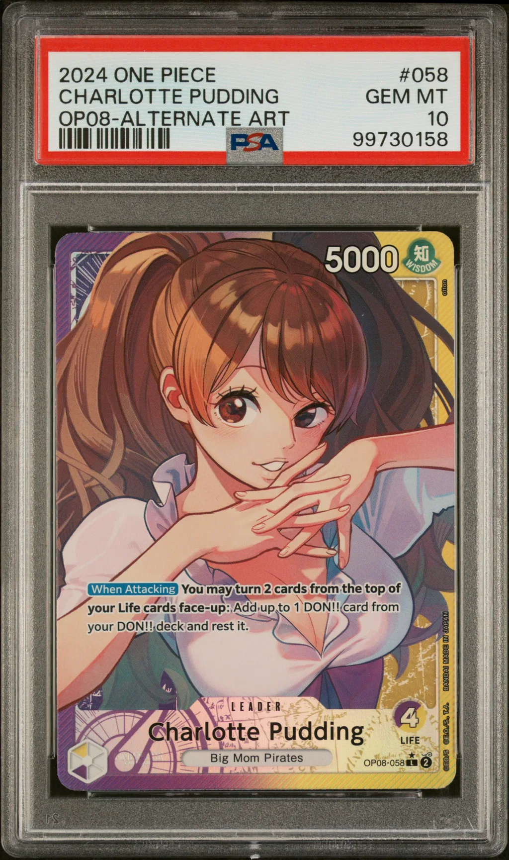 Charlotte Pudding card artwork