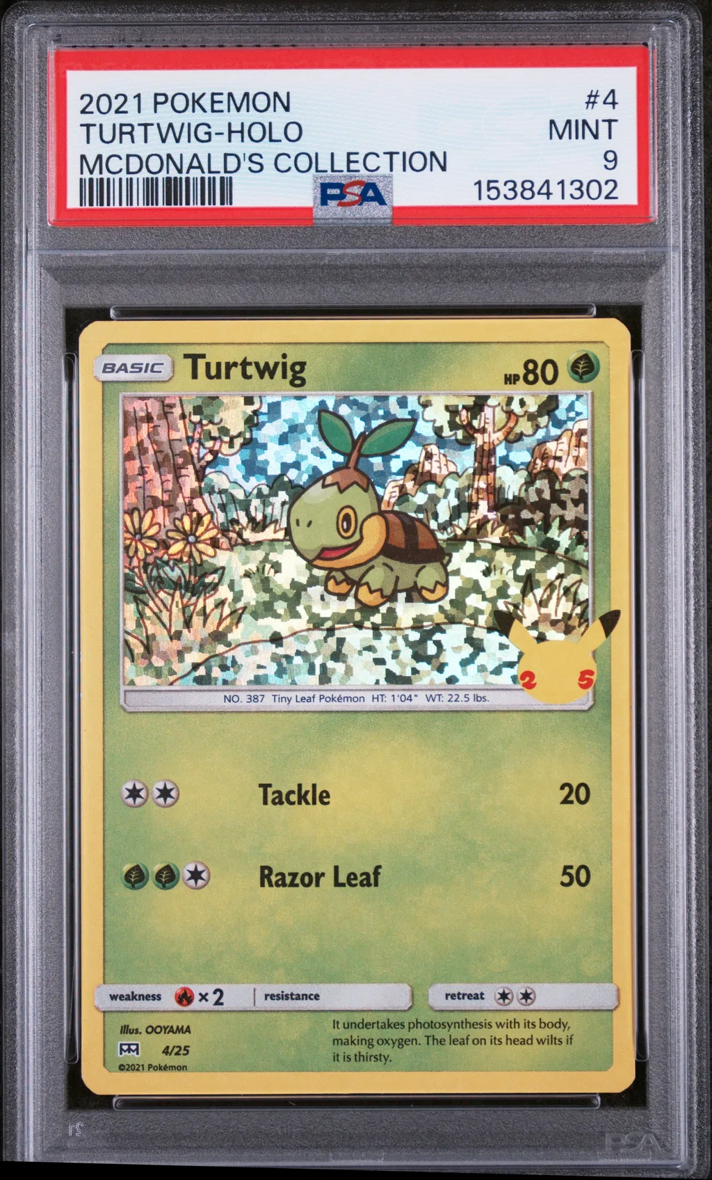 Turtwig-Holo card artwork