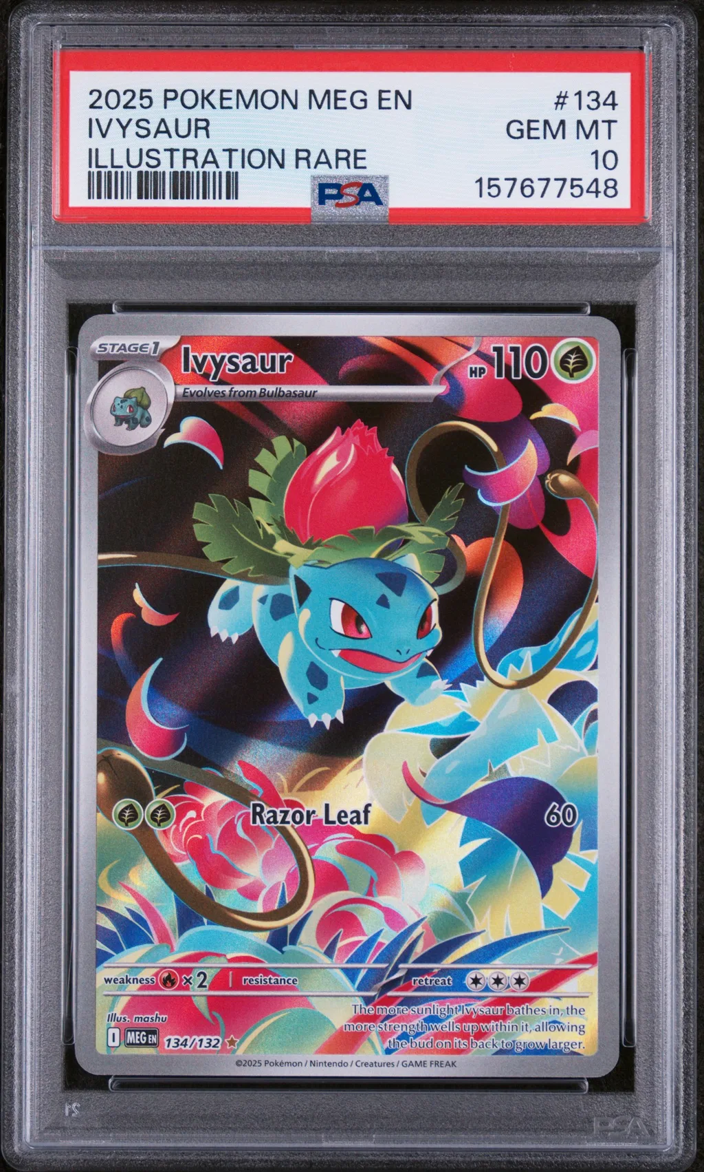 Ivysaur card artwork
