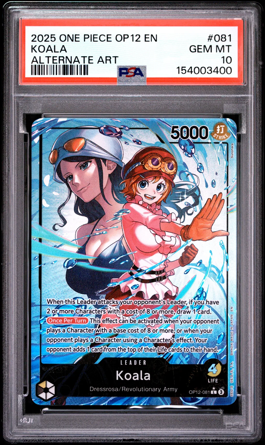 Koala card artwork