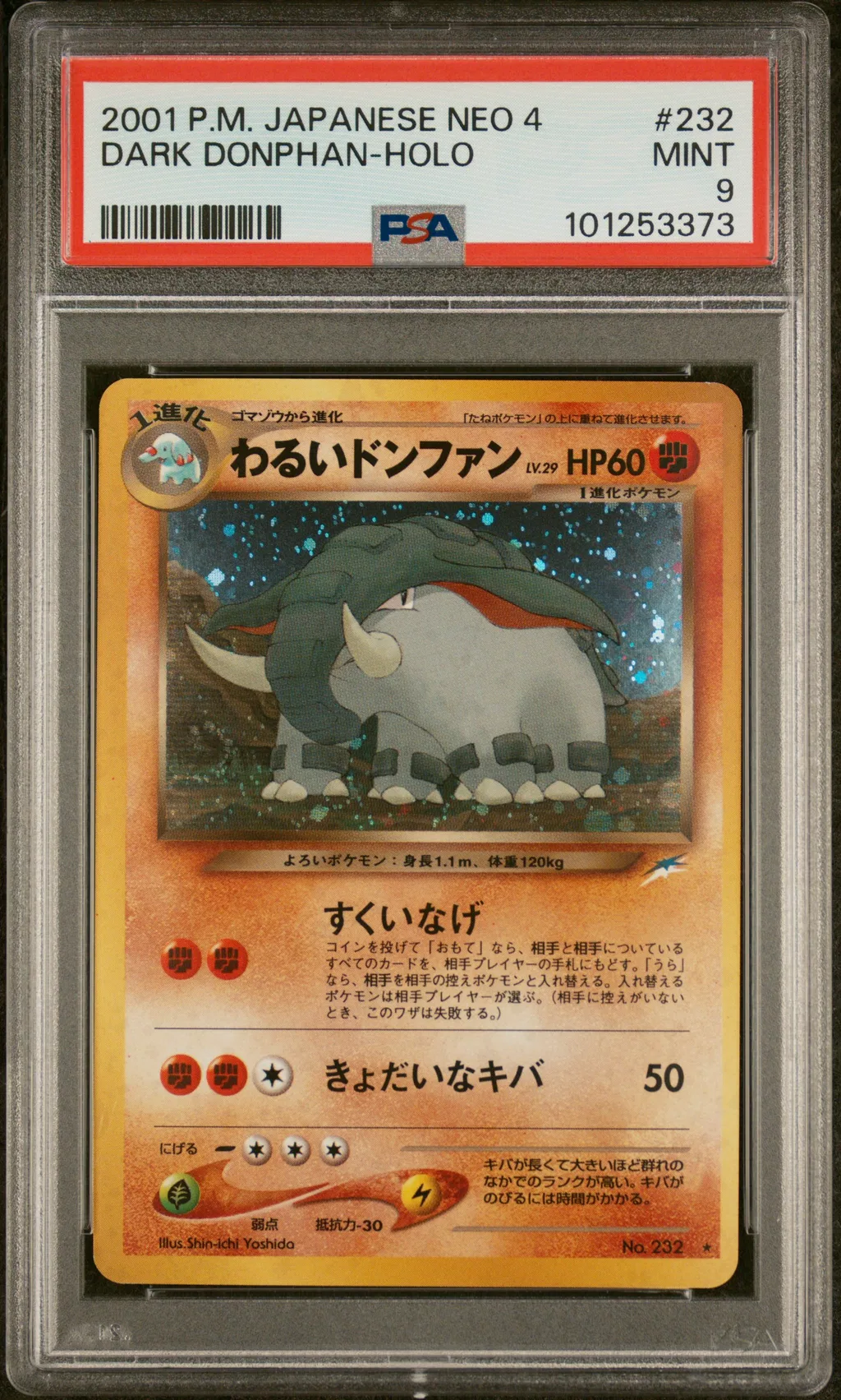 Dark Donphan-Holo card artwork
