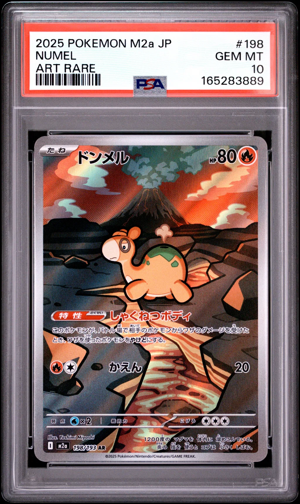 Numel card artwork