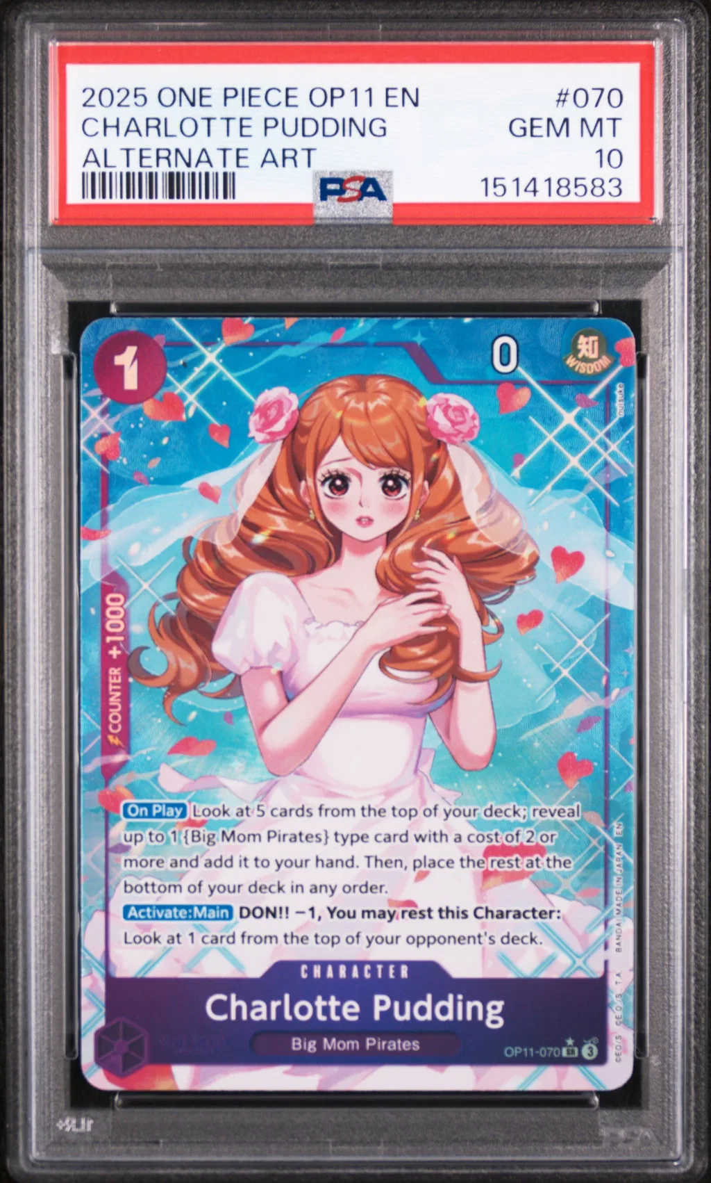Charlotte Pudding card artwork