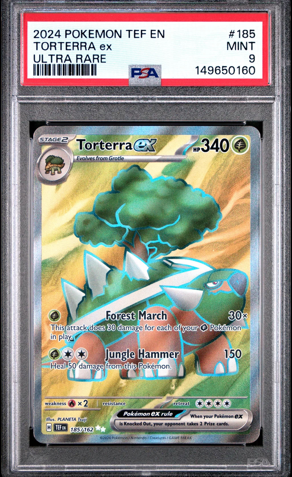 Torterra EX card artwork