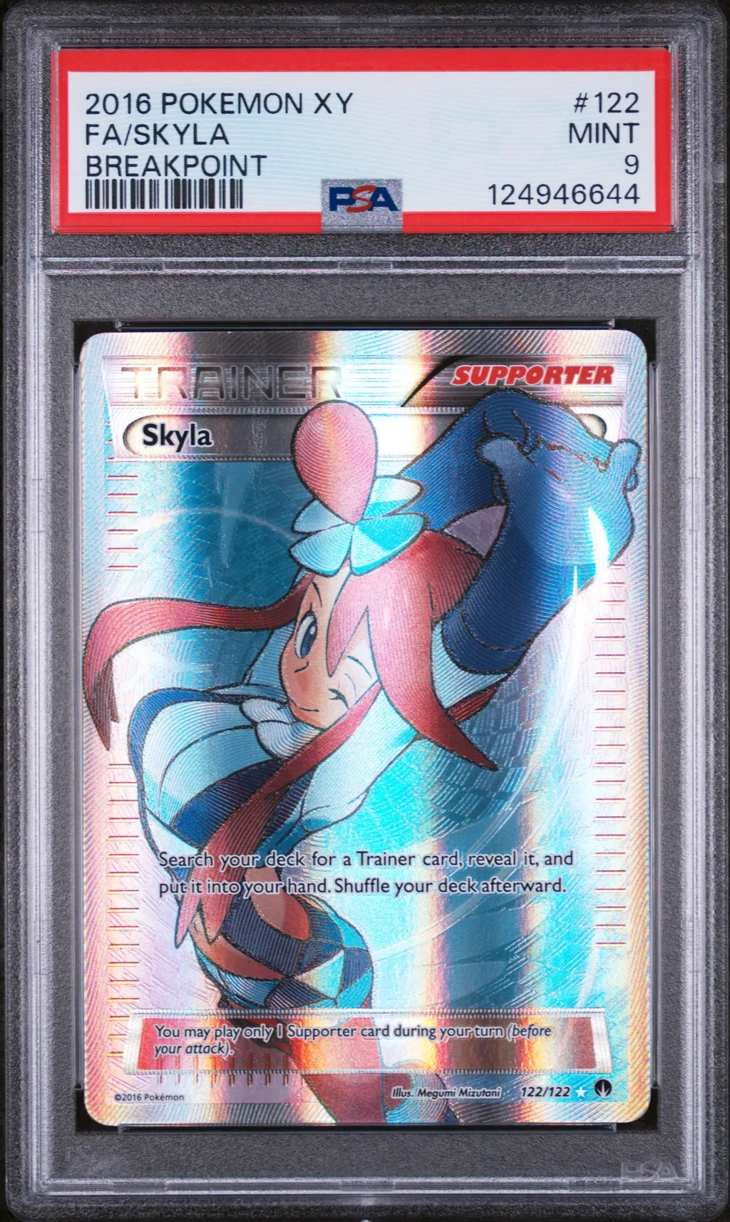 FA/SKYLA card artwork