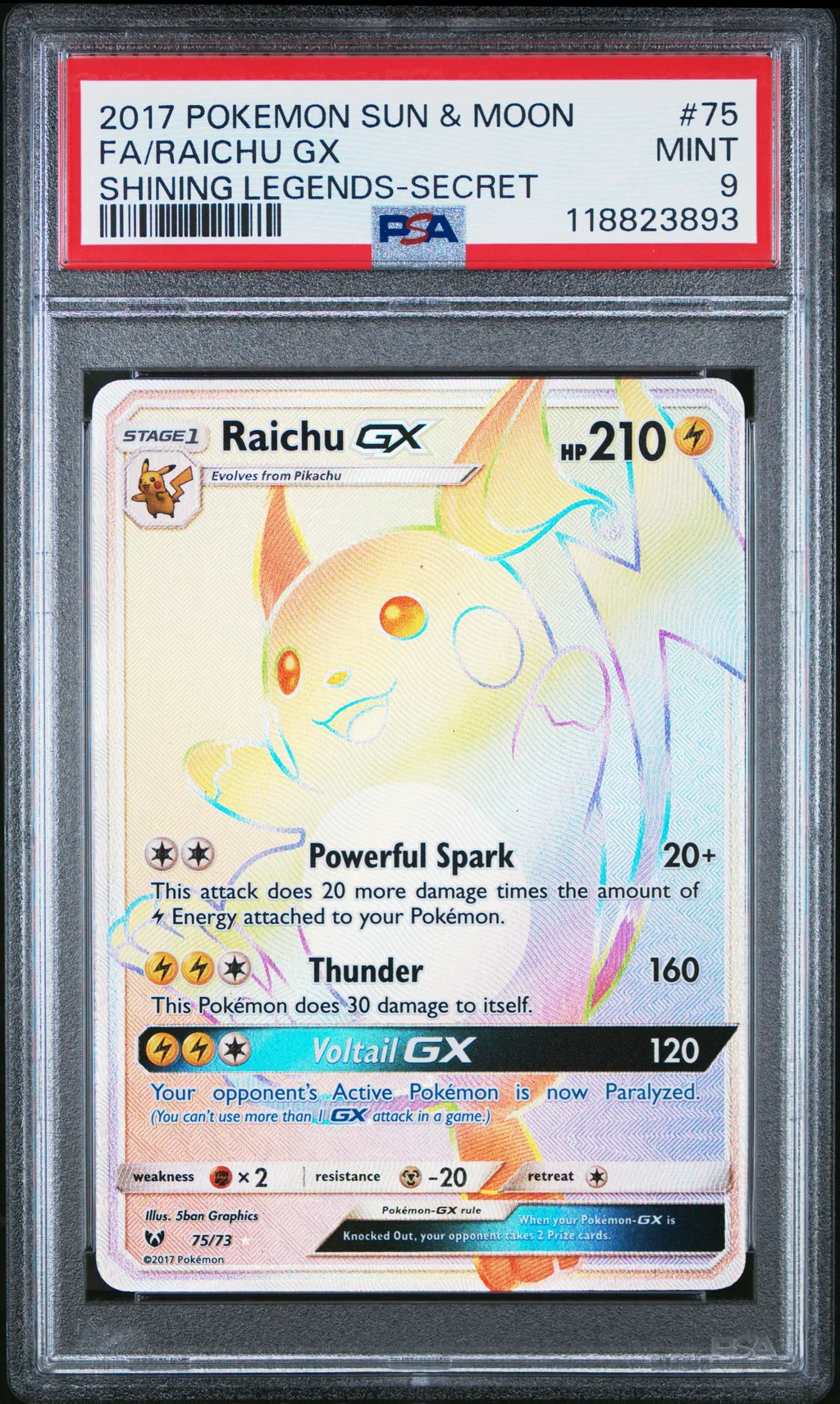 FA/RAICHU GX card artwork