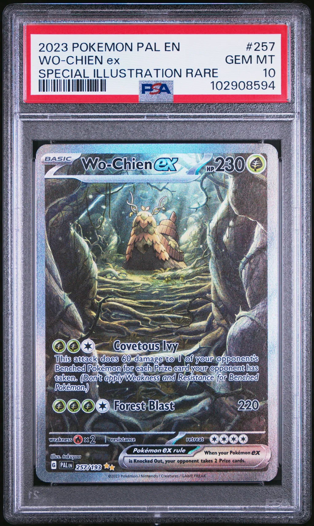 WO-Chien EX card artwork