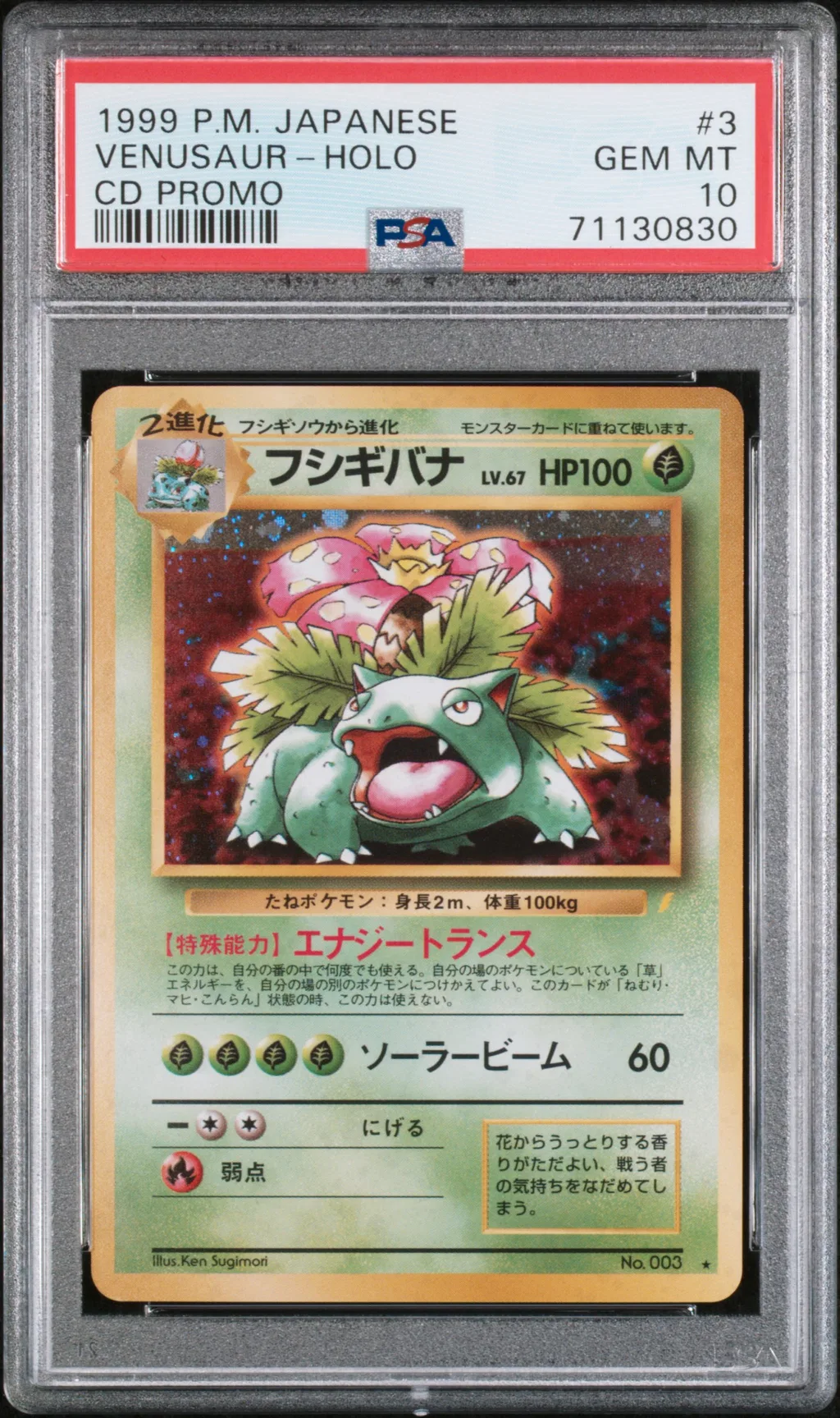 Venusaur-Holo card artwork