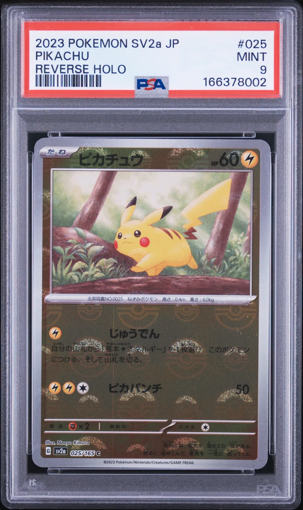 Pikachu card artwork