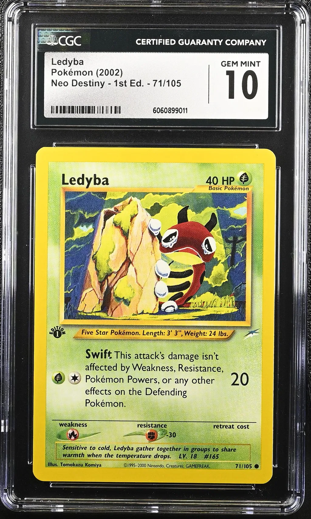 Ledyba card artwork