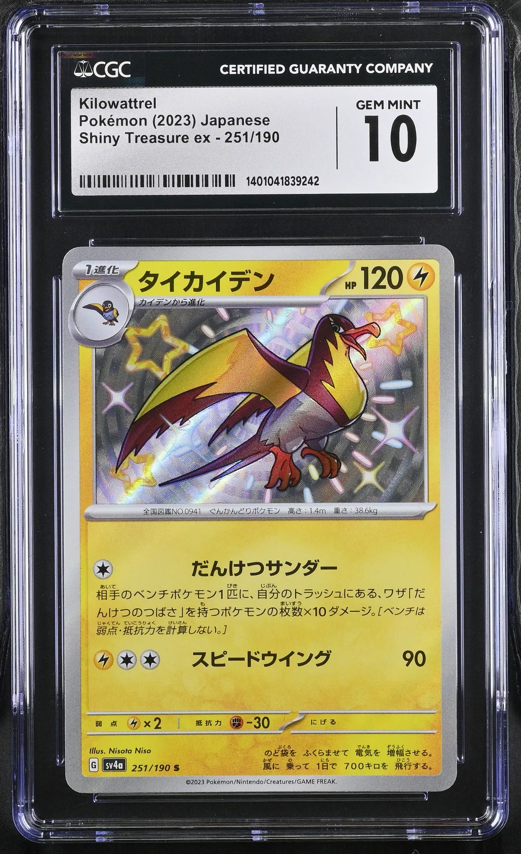 Kilowattrel card artwork