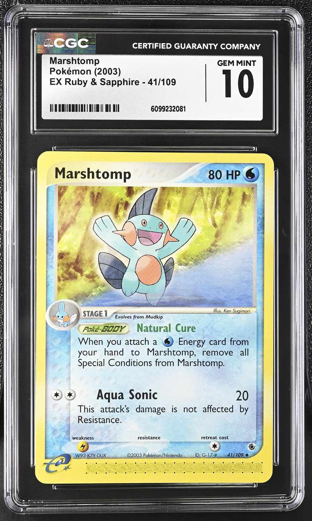 Marshtomp card artwork