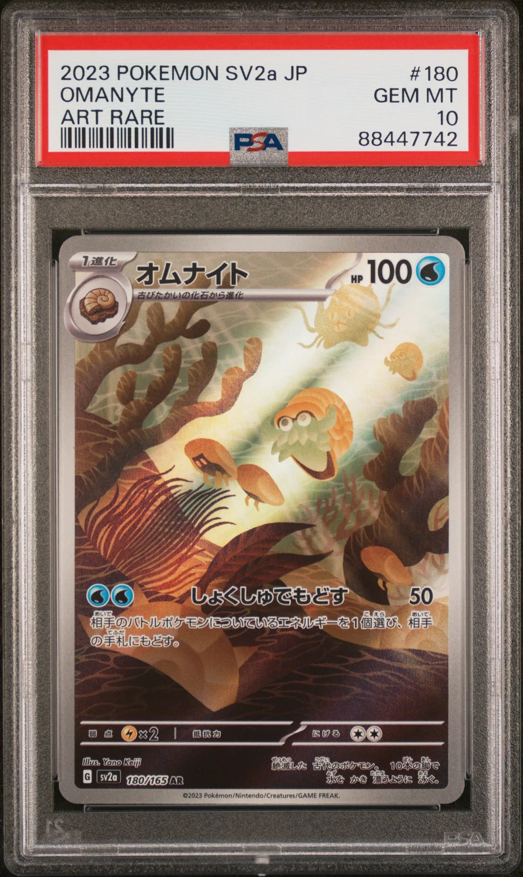 Omanyte card artwork