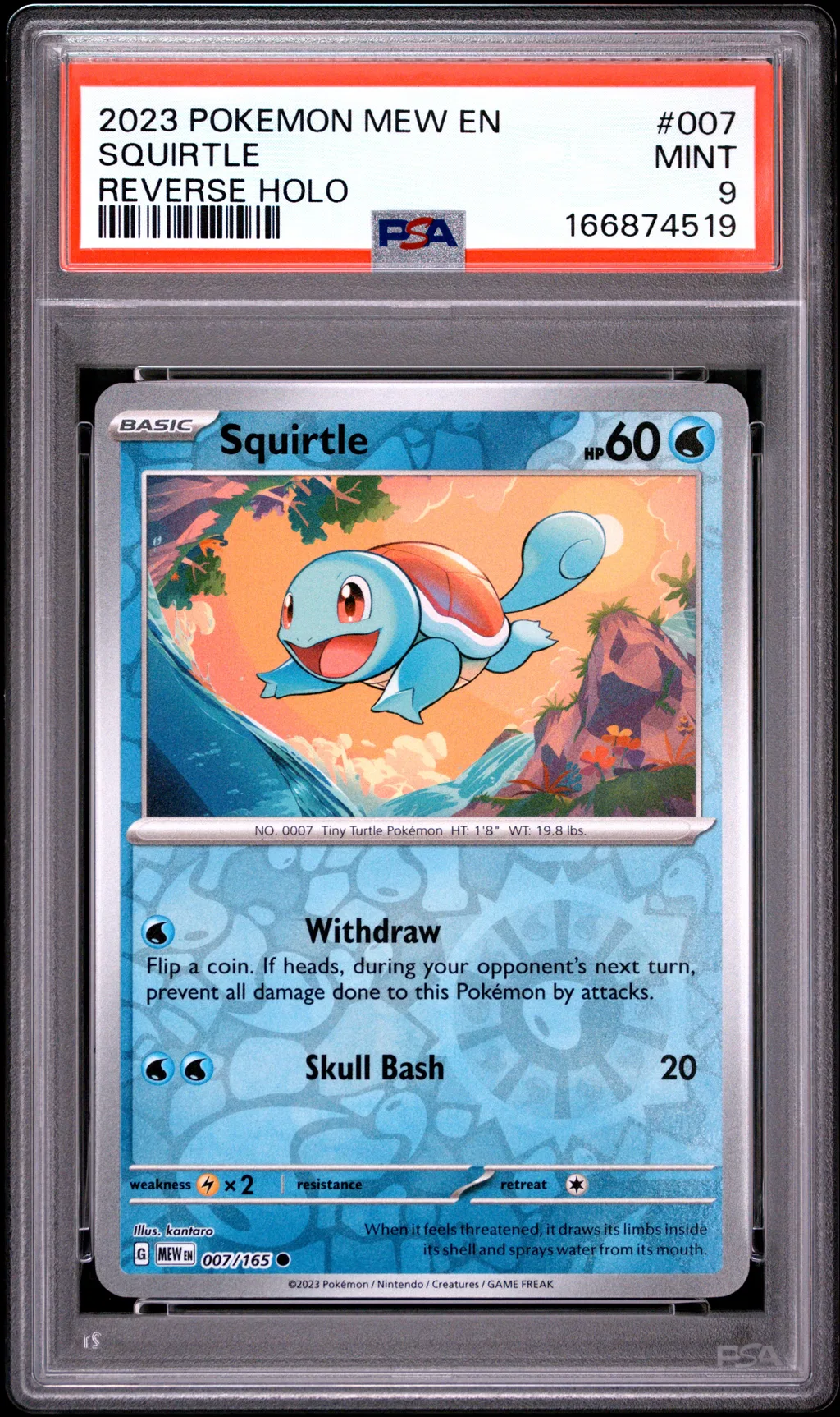 Squirtle card artwork