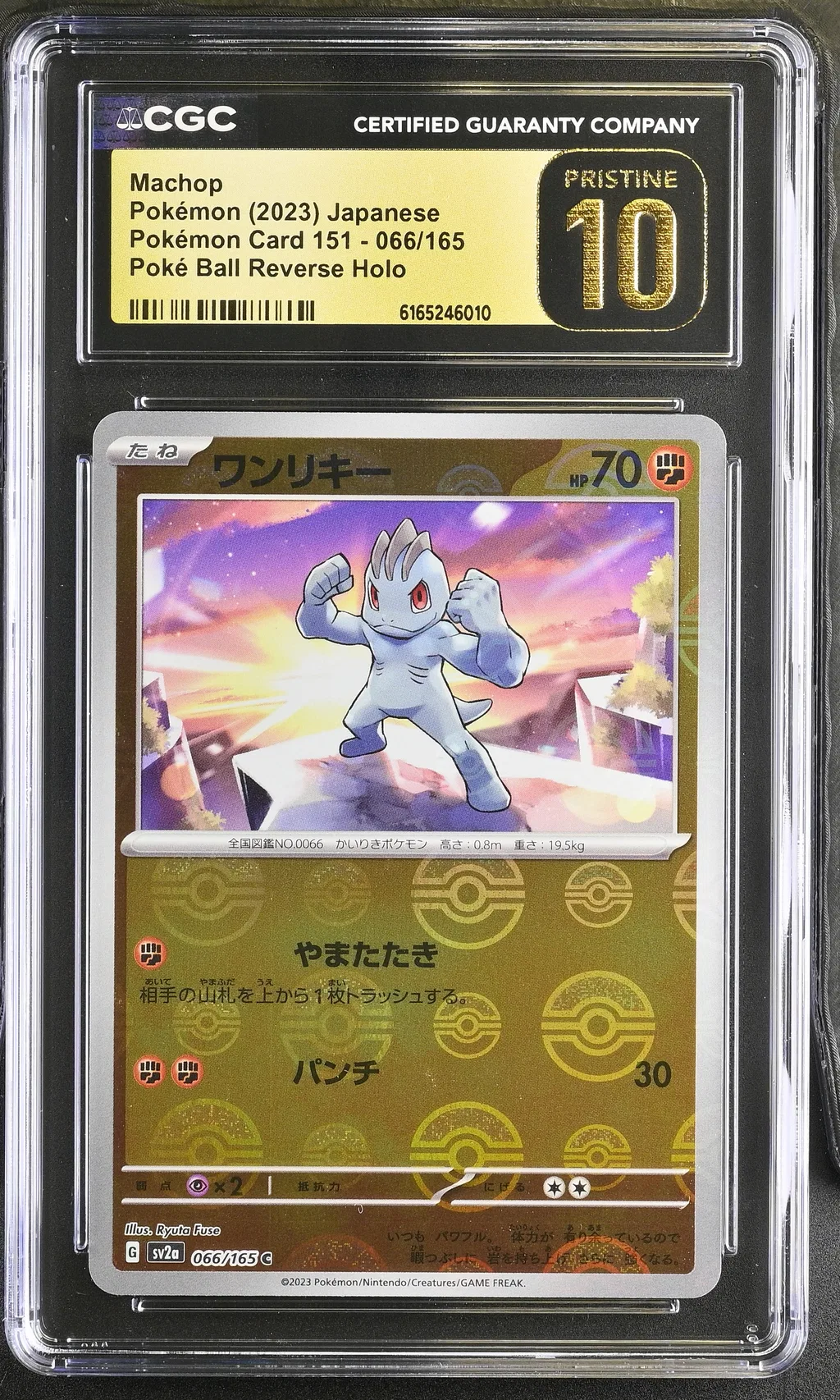 Machop card artwork