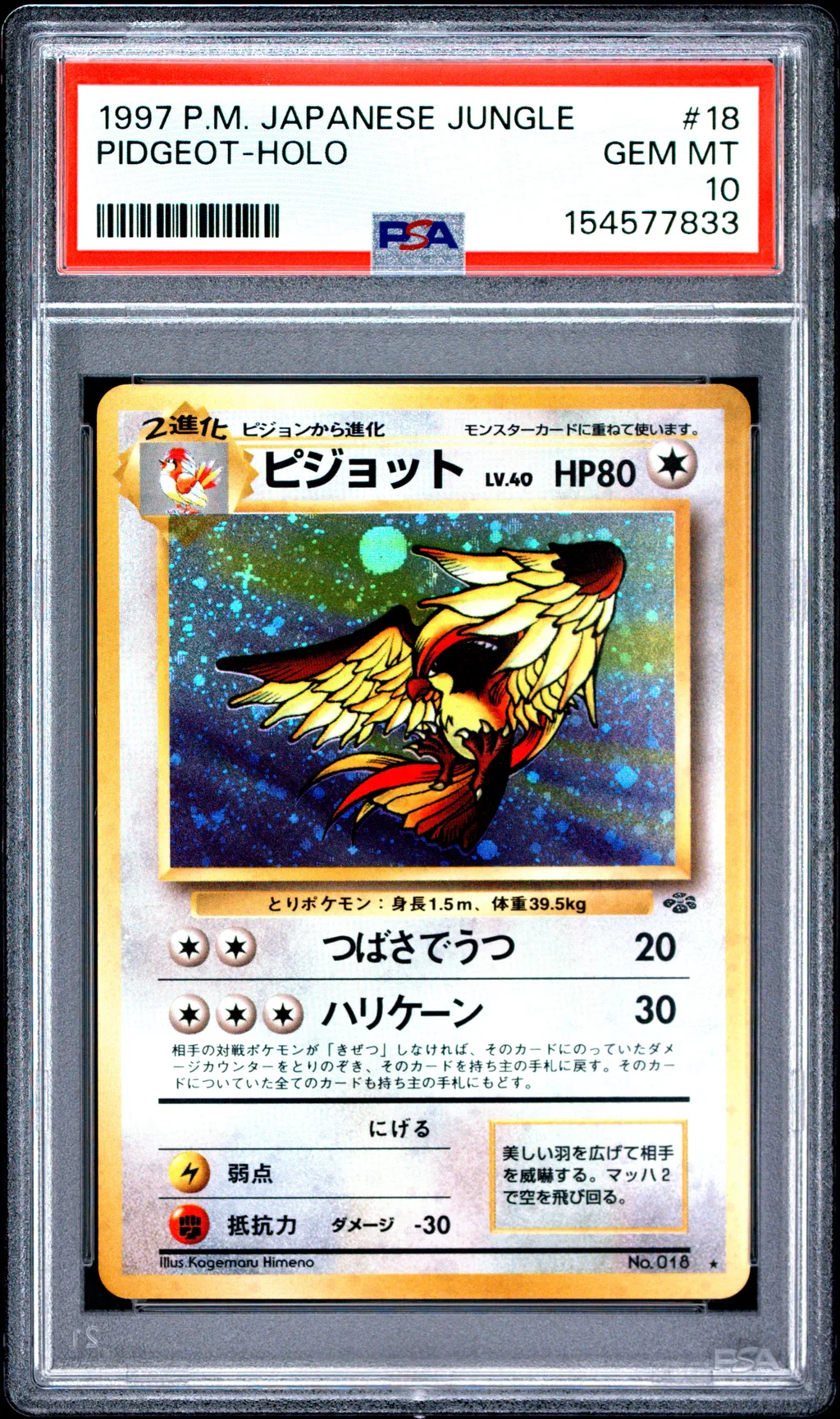 Pidgeot-Holo card artwork