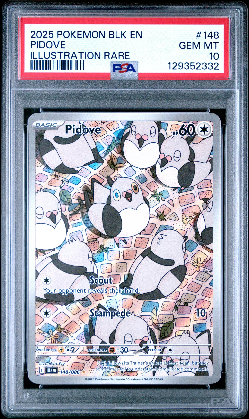 Pidove card artwork