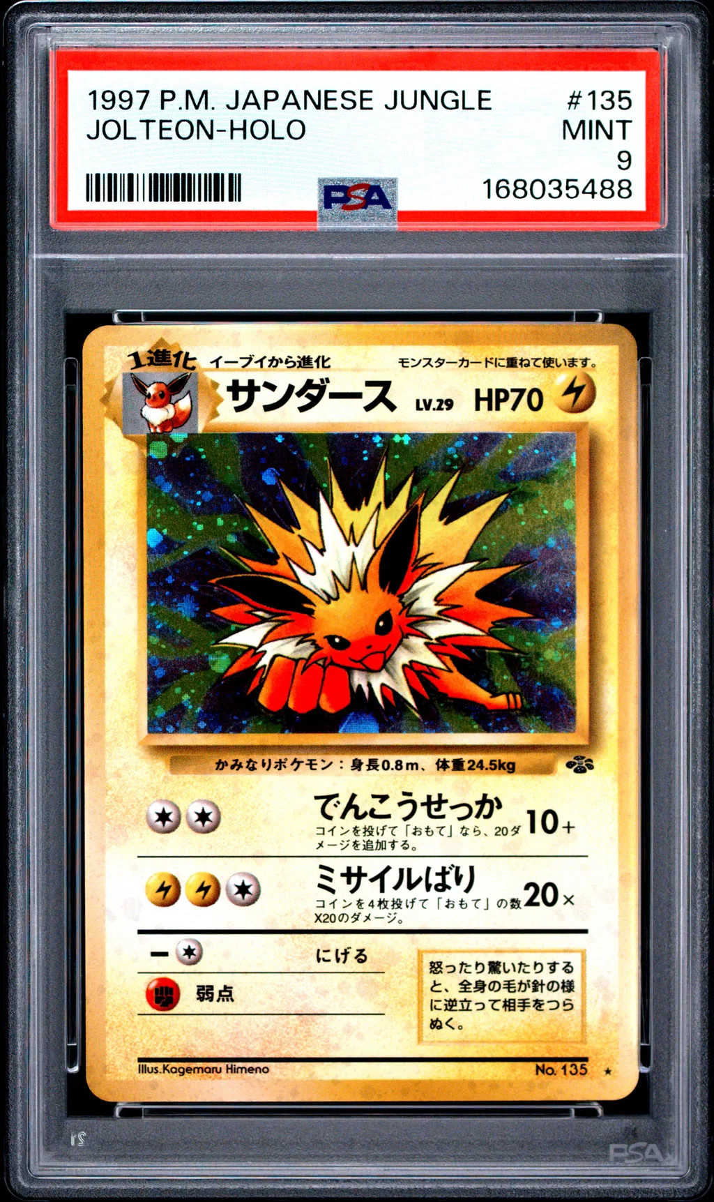 Jolteon-Holo card artwork