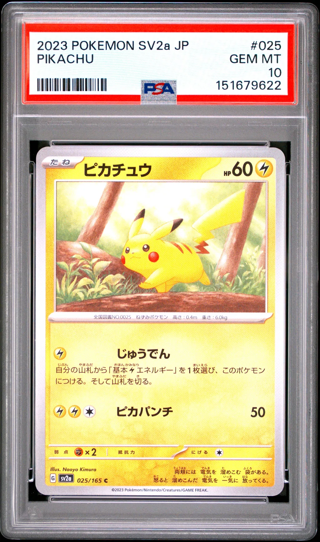 Pikachu card artwork