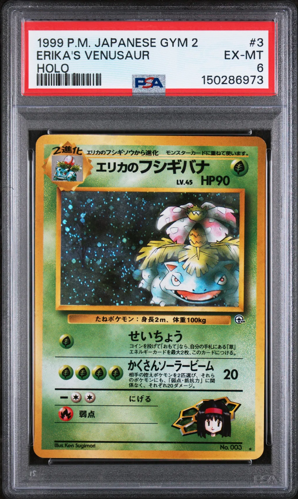 Erika's Venusaur-Holo card artwork