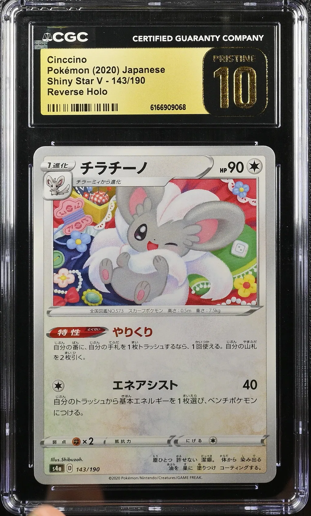 Cinccino card artwork
