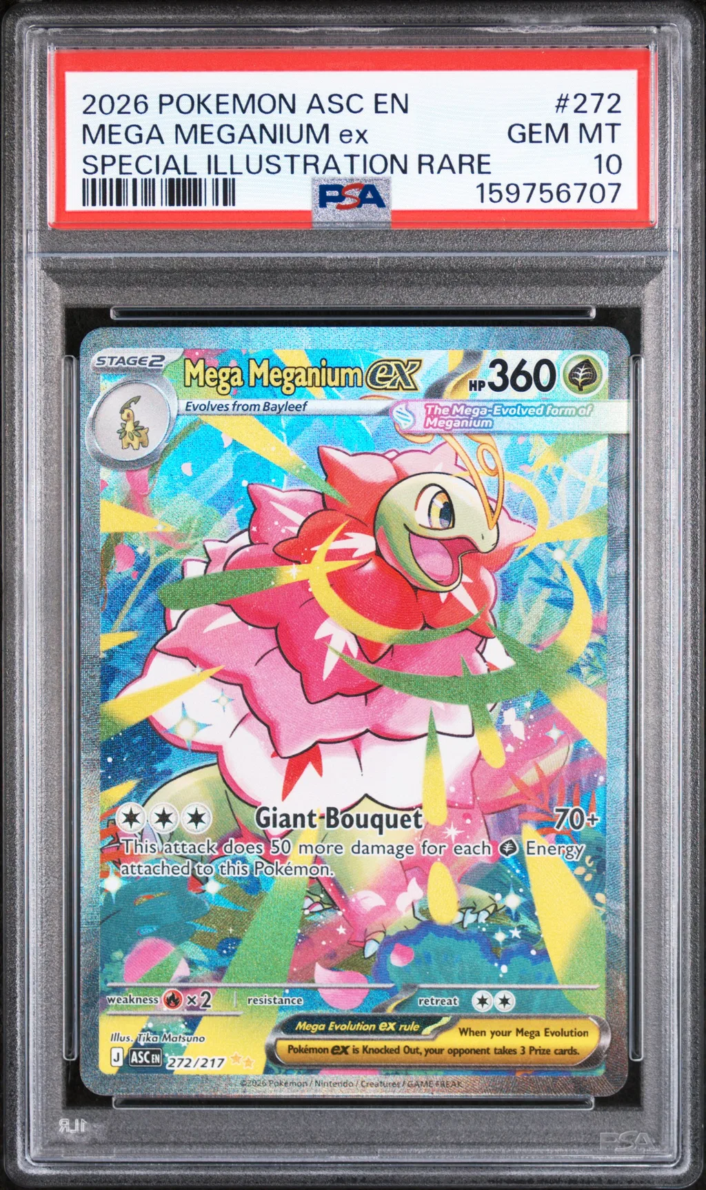 Mega Meganium EX card artwork