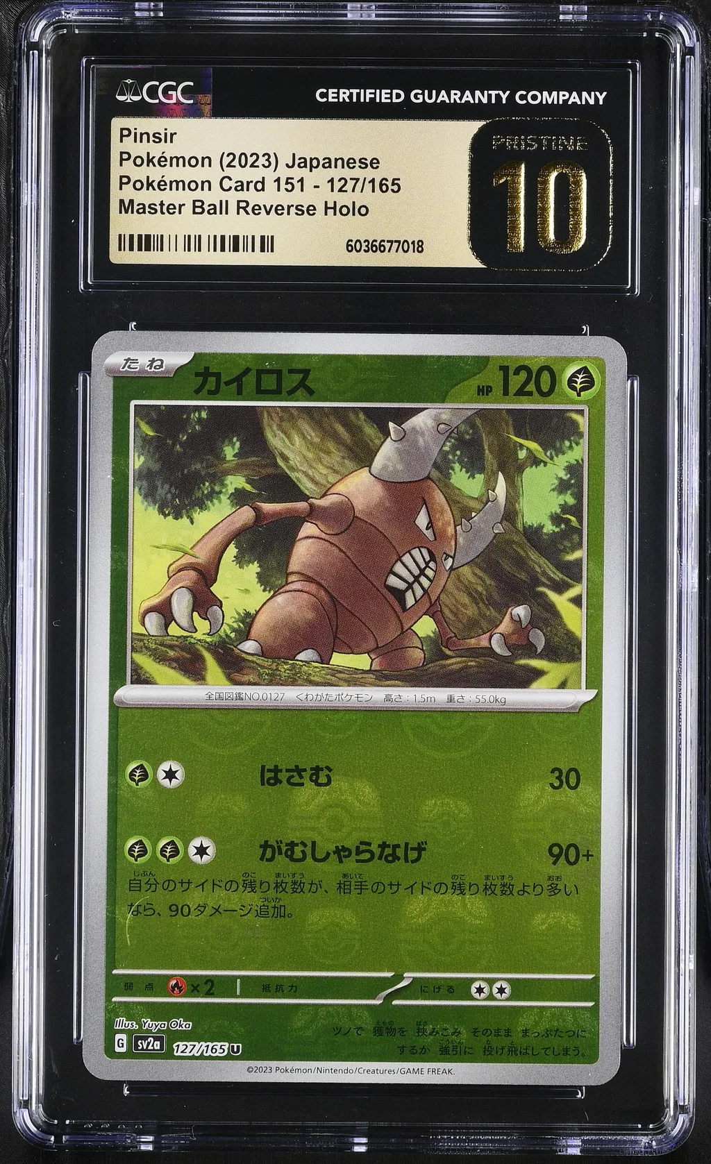 Pinsir card artwork