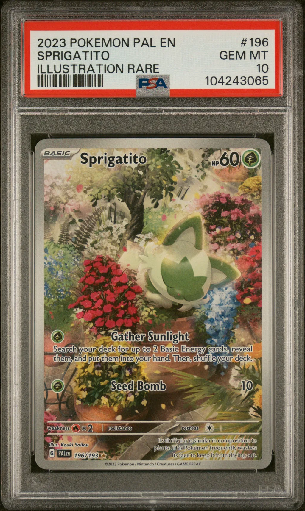 Sprigatito card artwork