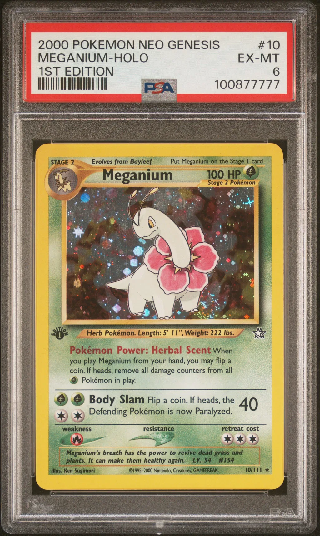 Meganium-Holo card artwork