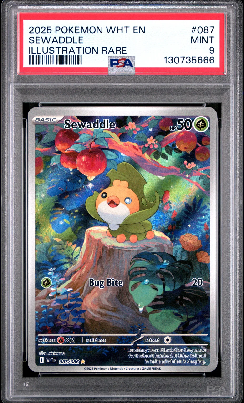 Sewaddle card artwork