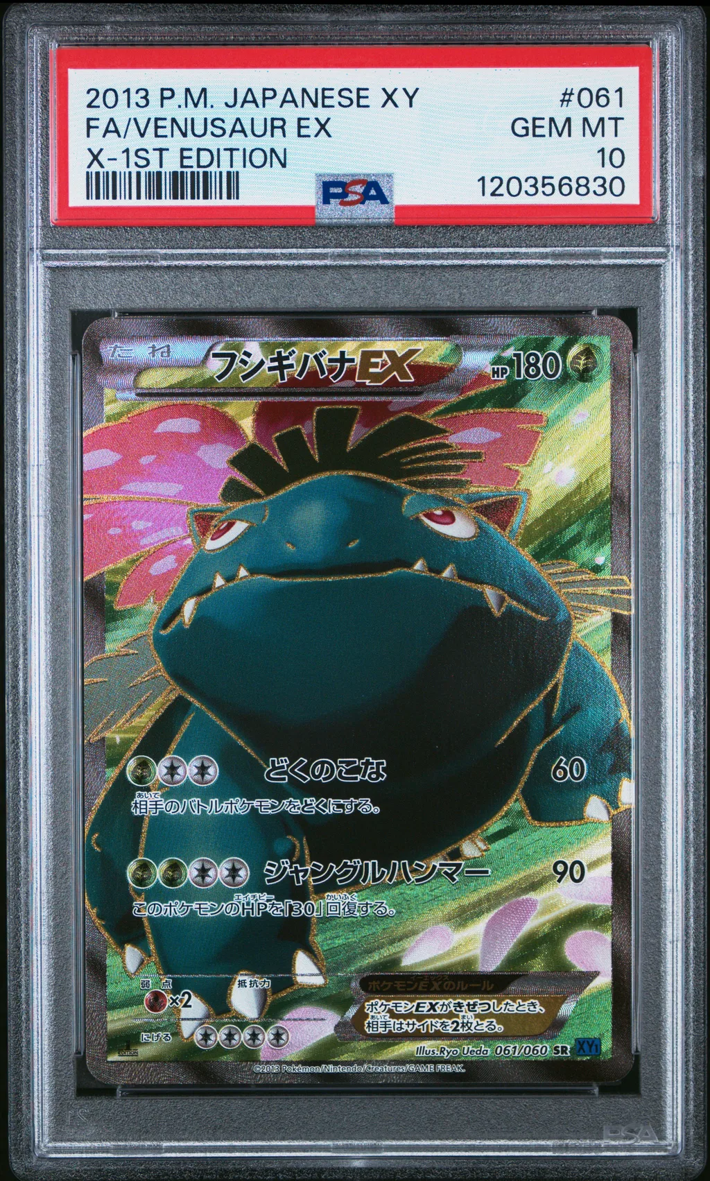 Full Art/Venusaur EX card artwork