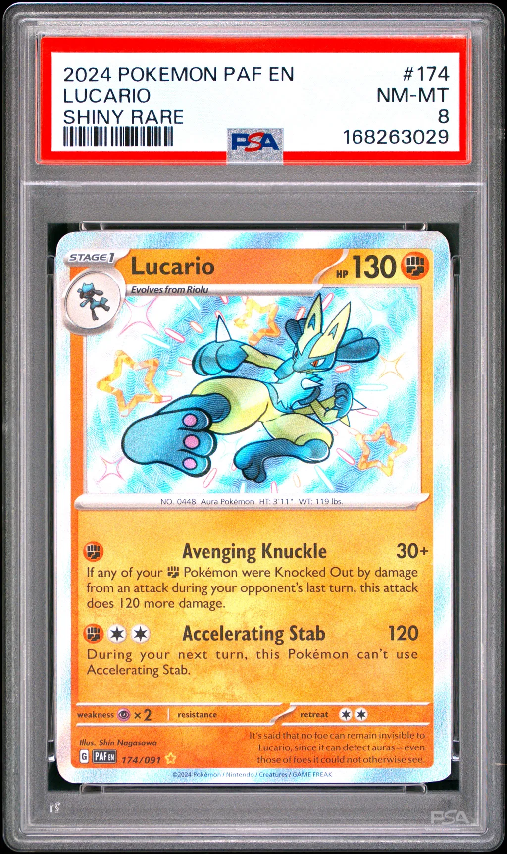 Lucario card artwork