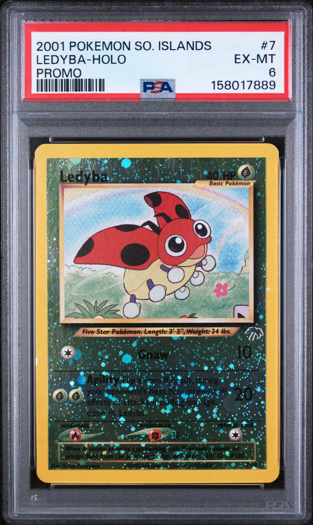 Ledyba-Holo card artwork