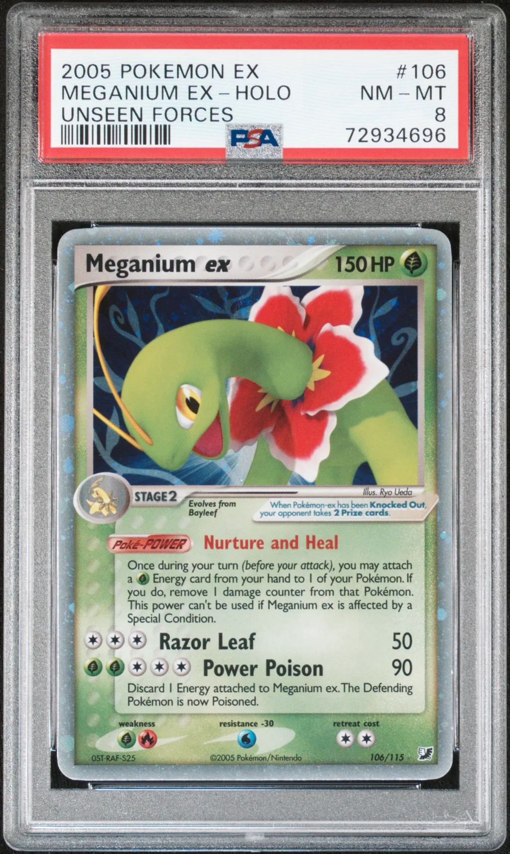 Meganium EX-Holo card artwork
