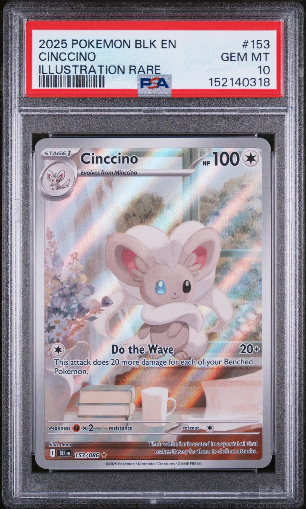 Cinccino card artwork