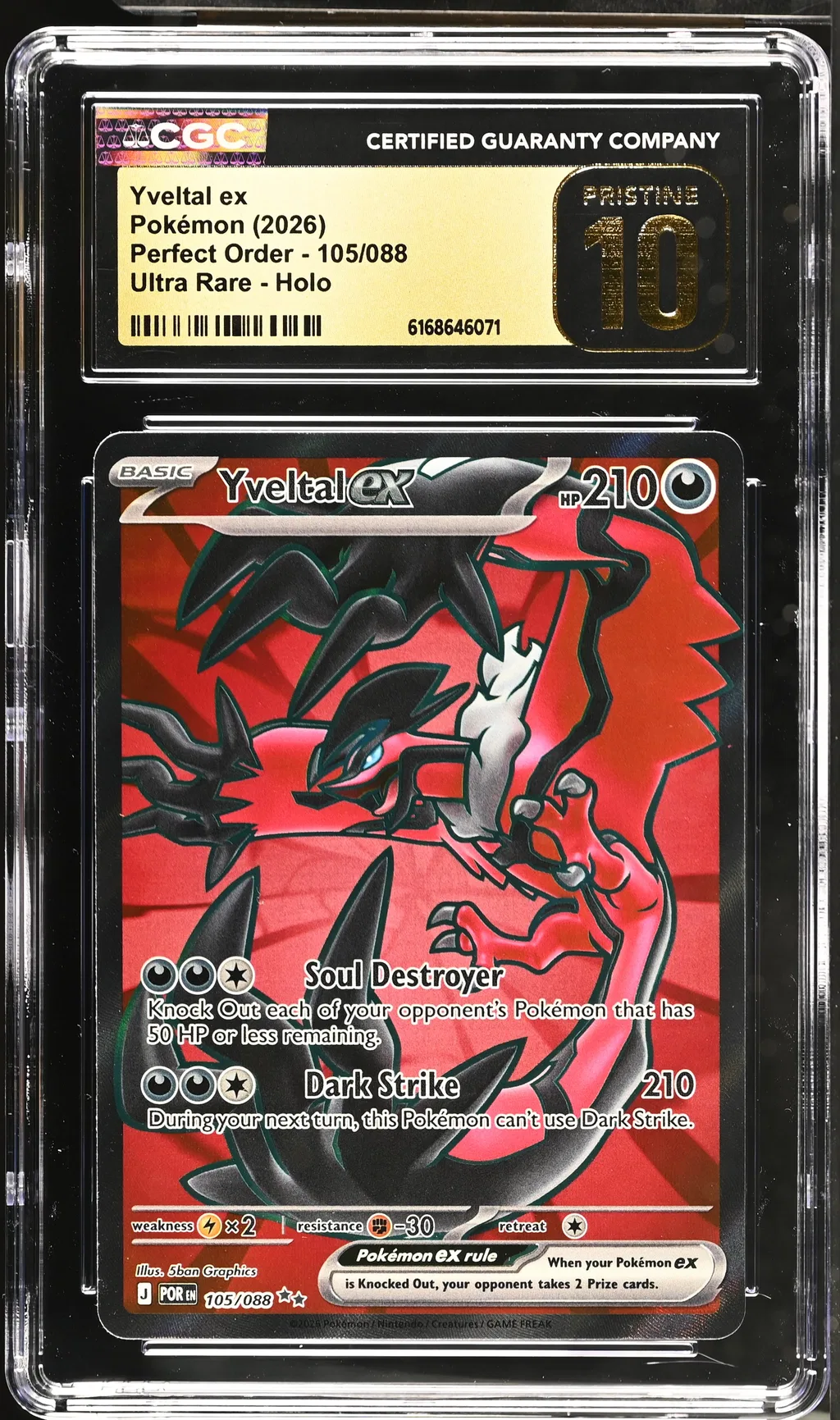 Yveltal EX card artwork