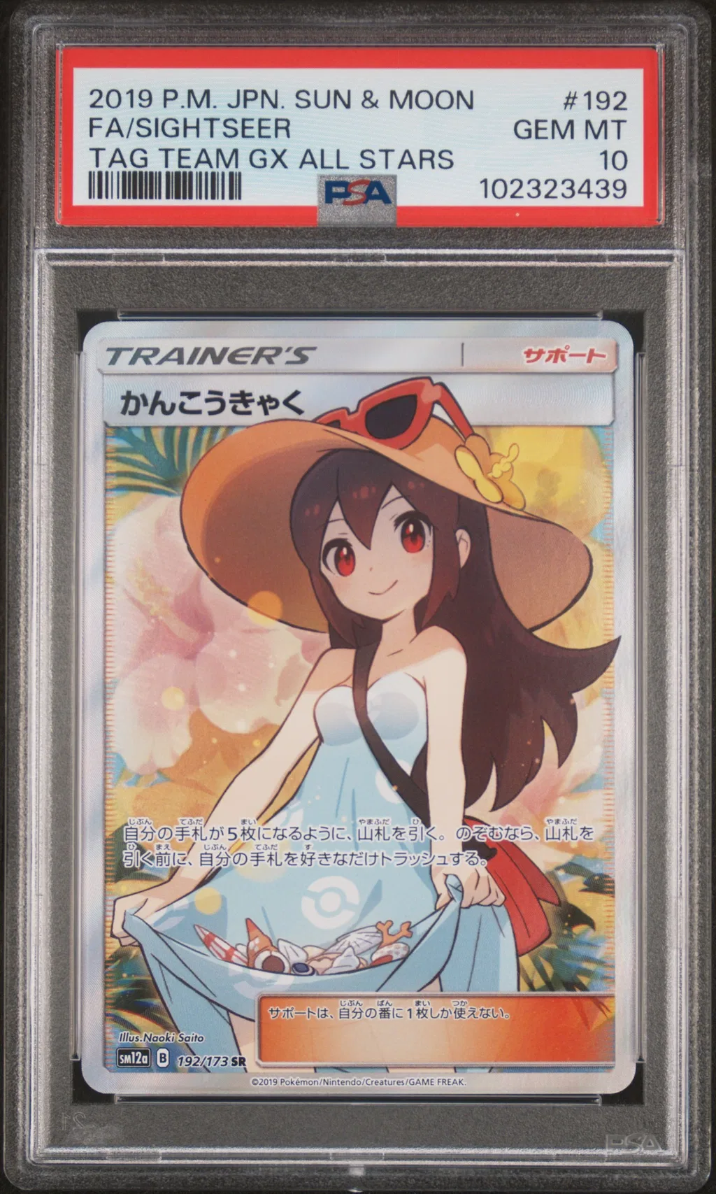 Full Art/Sightseer card artwork