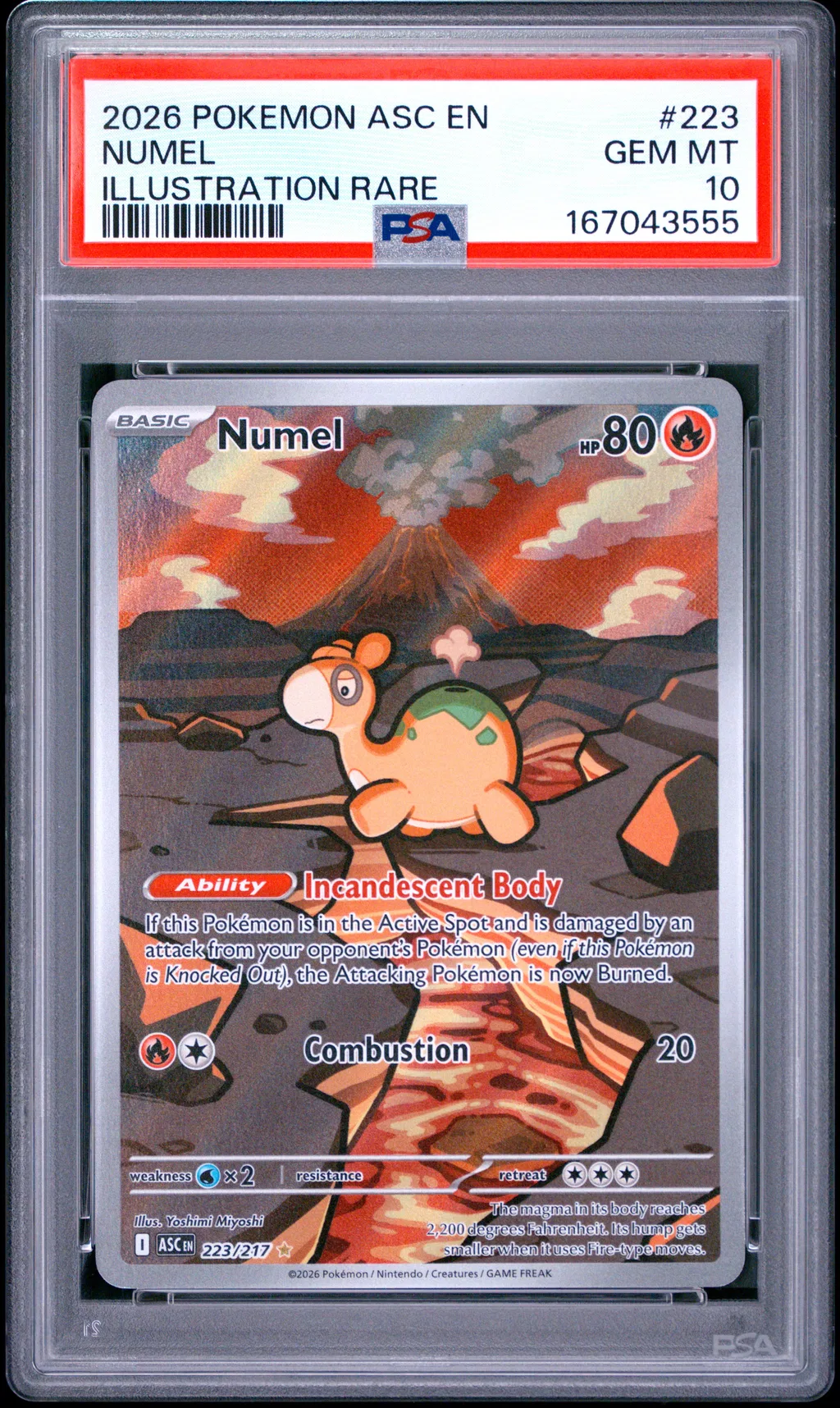 Numel card artwork